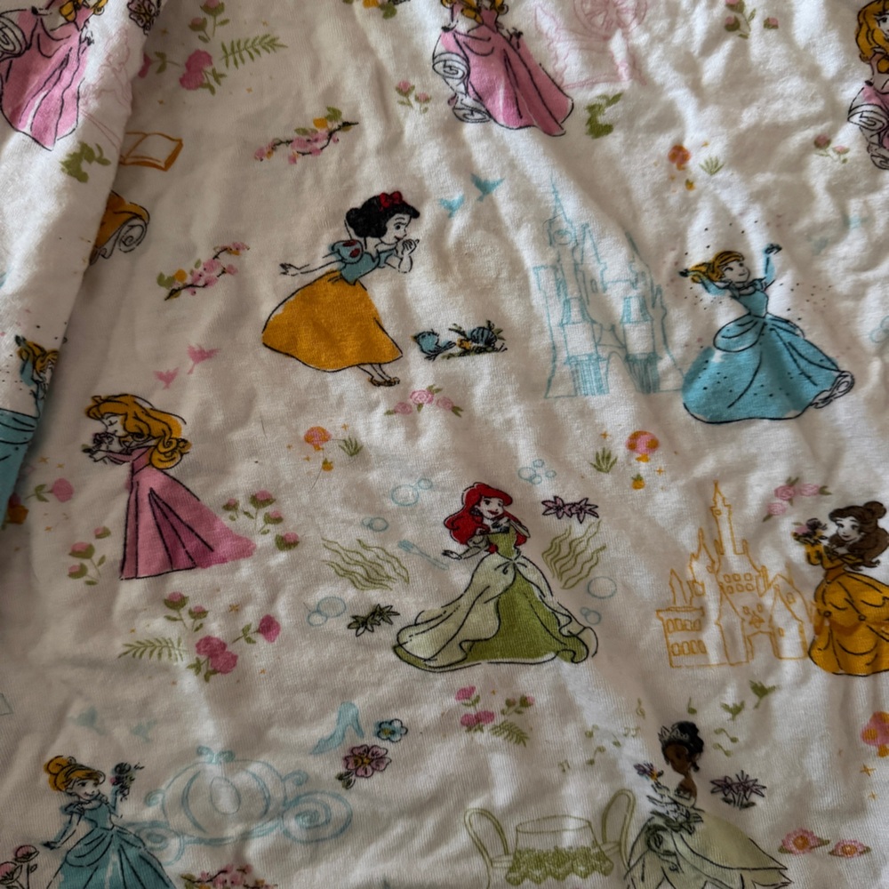 Milk snob Disney princess blanket